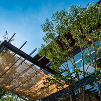 樹木、草花のプロショップ