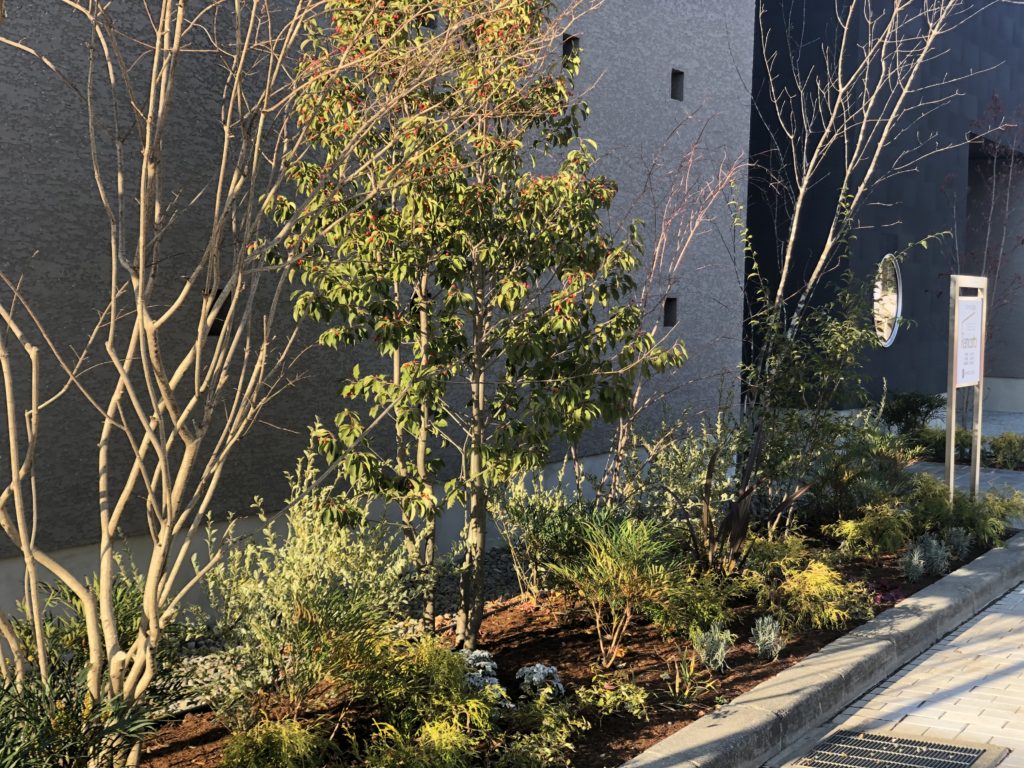 四季を感じられる住宅のファサード植栽